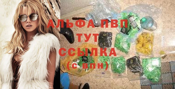 ГАЛЛЮЦИНОГЕННЫЕ ГРИБЫ Белокуриха