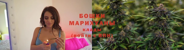 ГАЛЛЮЦИНОГЕННЫЕ ГРИБЫ Белокуриха