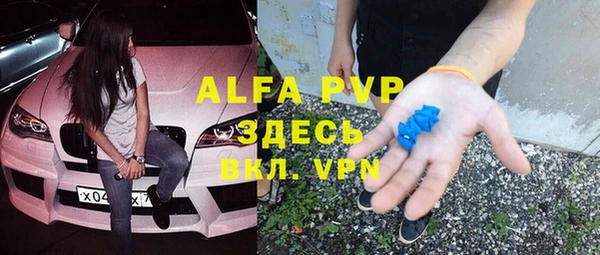 ГАЛЛЮЦИНОГЕННЫЕ ГРИБЫ Белокуриха