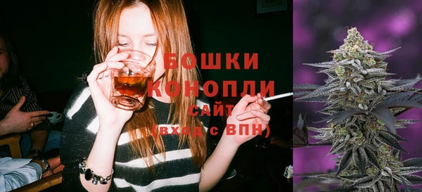 ГАЛЛЮЦИНОГЕННЫЕ ГРИБЫ Белокуриха