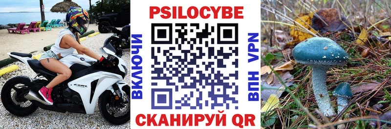 Псилоцибиновые грибы Cubensis Красавино